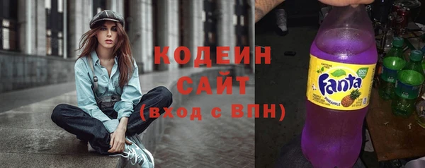 ГАЛЛЮЦИНОГЕННЫЕ ГРИБЫ Арсеньев