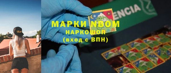 ГАЛЛЮЦИНОГЕННЫЕ ГРИБЫ Арсеньев