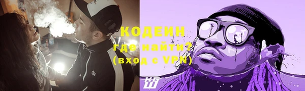 ГАЛЛЮЦИНОГЕННЫЕ ГРИБЫ Арсеньев