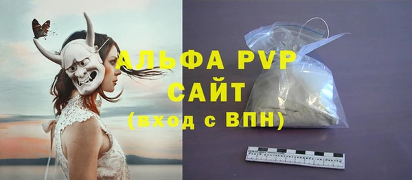 амф Аркадак