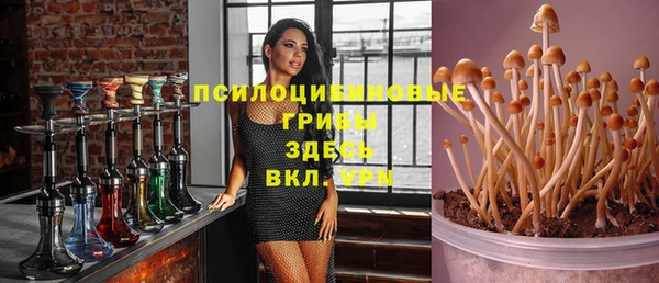 амф Аркадак