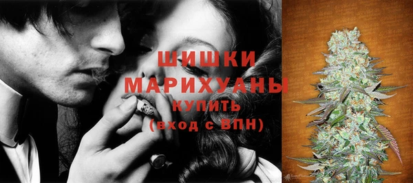 ГАЛЛЮЦИНОГЕННЫЕ ГРИБЫ Арсеньев
