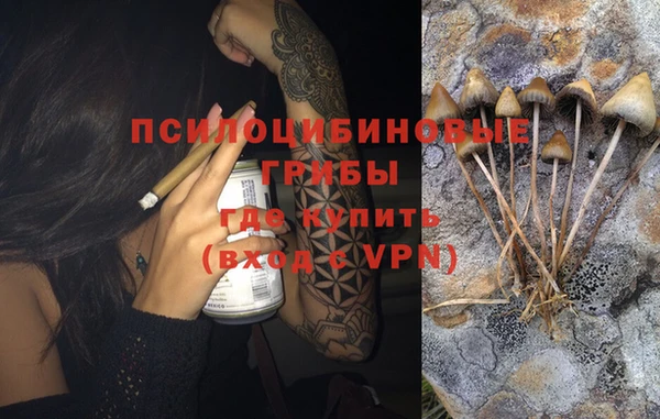 прущие грибы Армянск