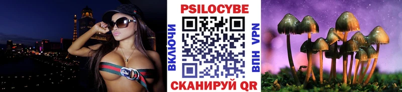 Псилоцибиновые грибы мицелий  Шадринск 